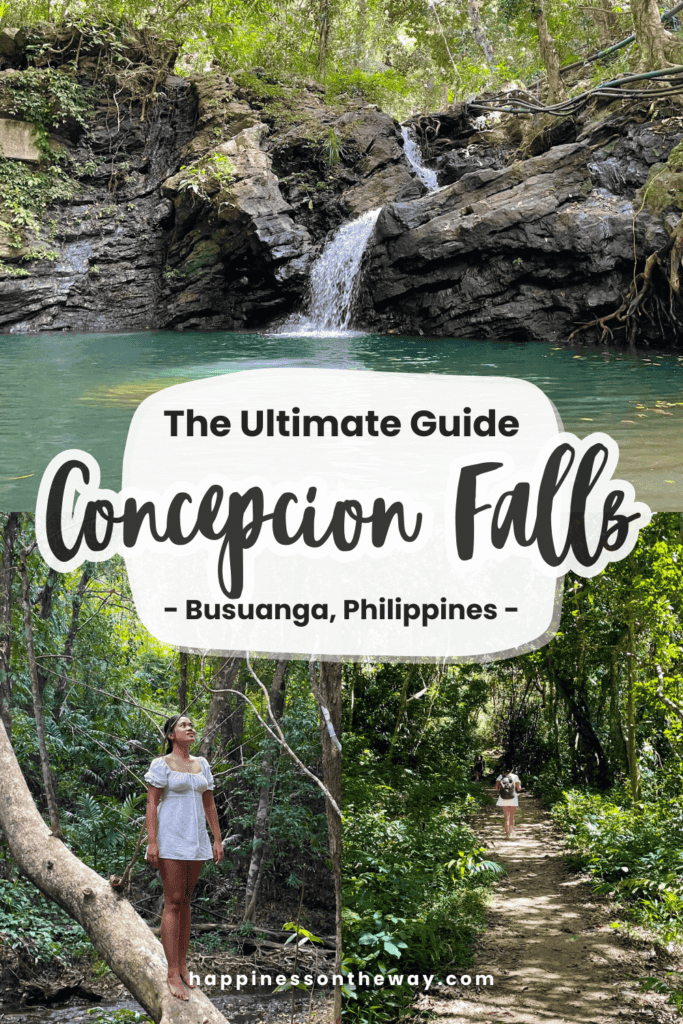 Concepcion Falls: Everything You Need to Know 2024