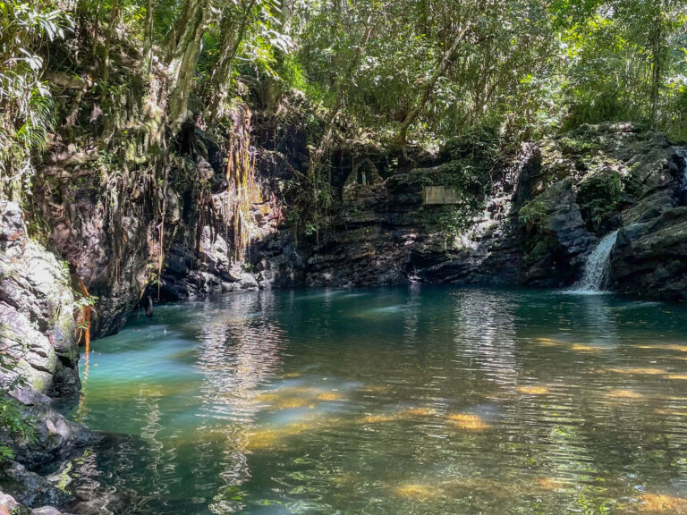 Concepcion Falls: Everything You Need to Know