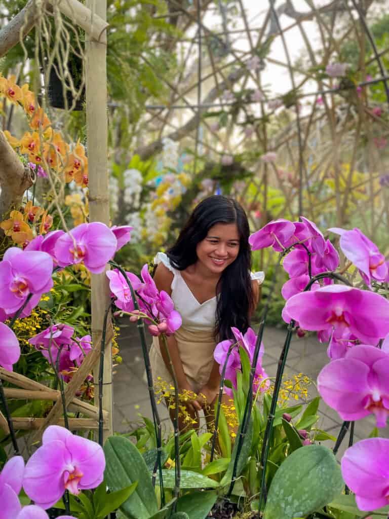 Orchids-Garden-Chiang-Mai-Flower-Festival