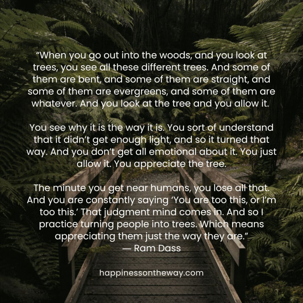 Ram Dass Quote When You Go Out into the Woods and you look at trees - Happiness on the Way Quote .png