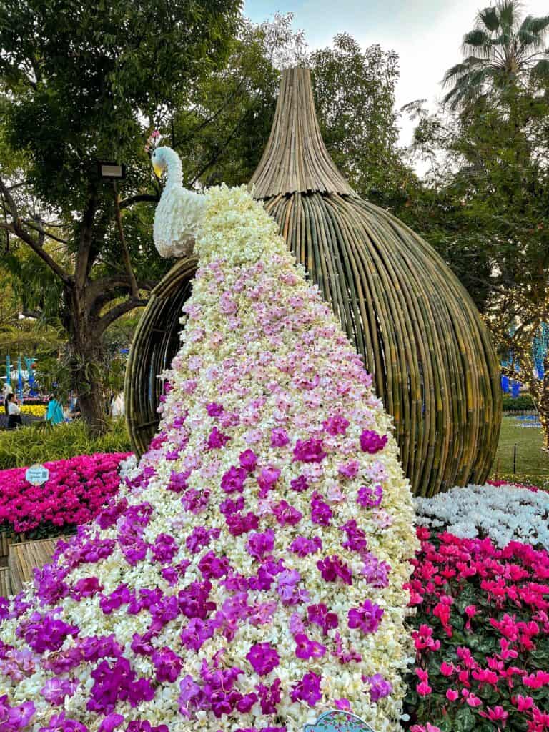 Chiang Mai Flower Festival - Dates, Schedule, Route, Location