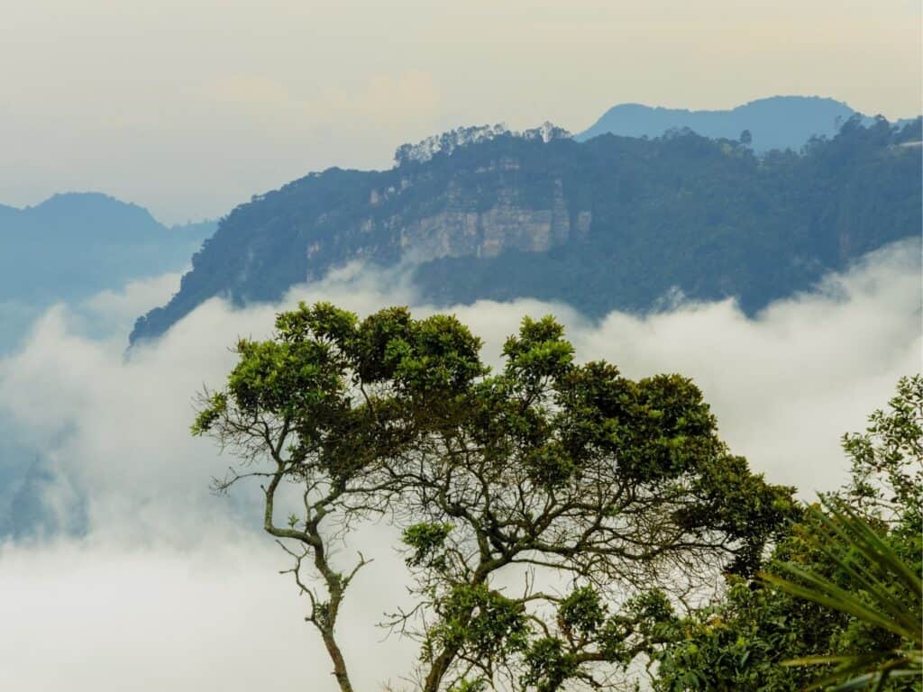 Chicaque Natural Park - Day Trips From Bogota