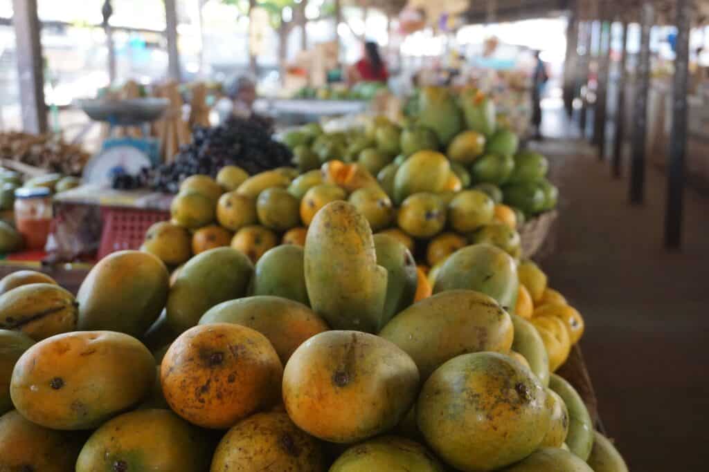 Jaffna Market - Places to visit in Jaffna