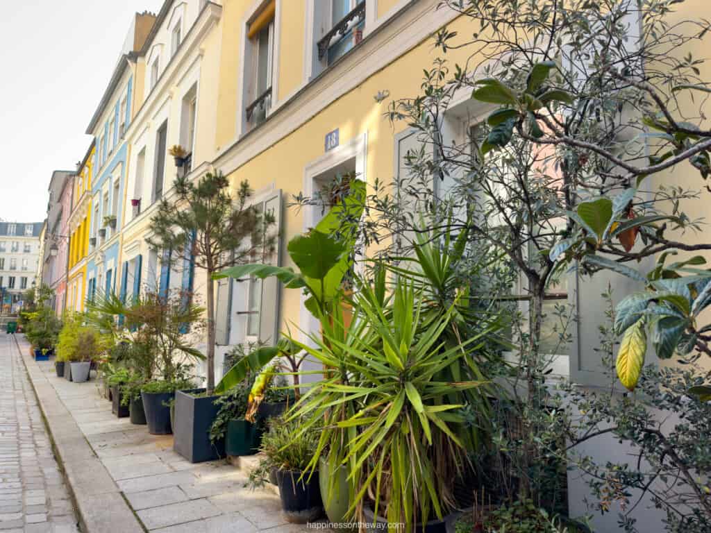 Rue Crémieux Paris Plants