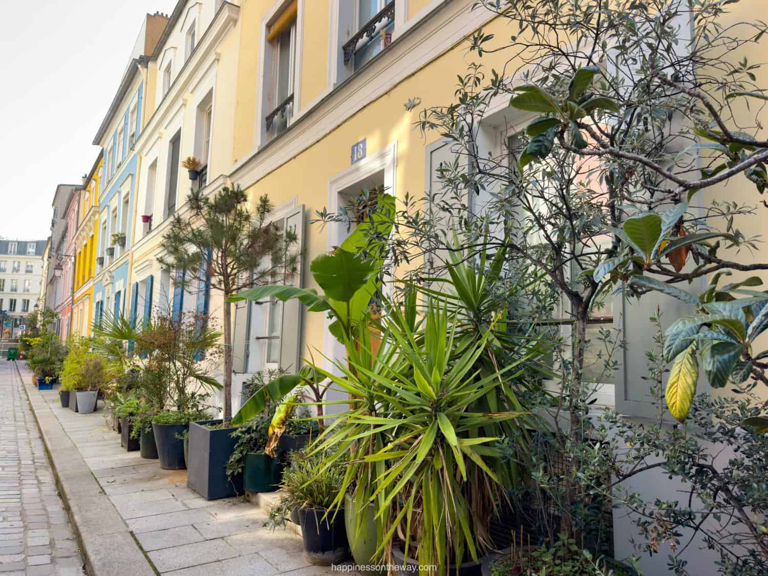 Rue Crémieux Paris Plants