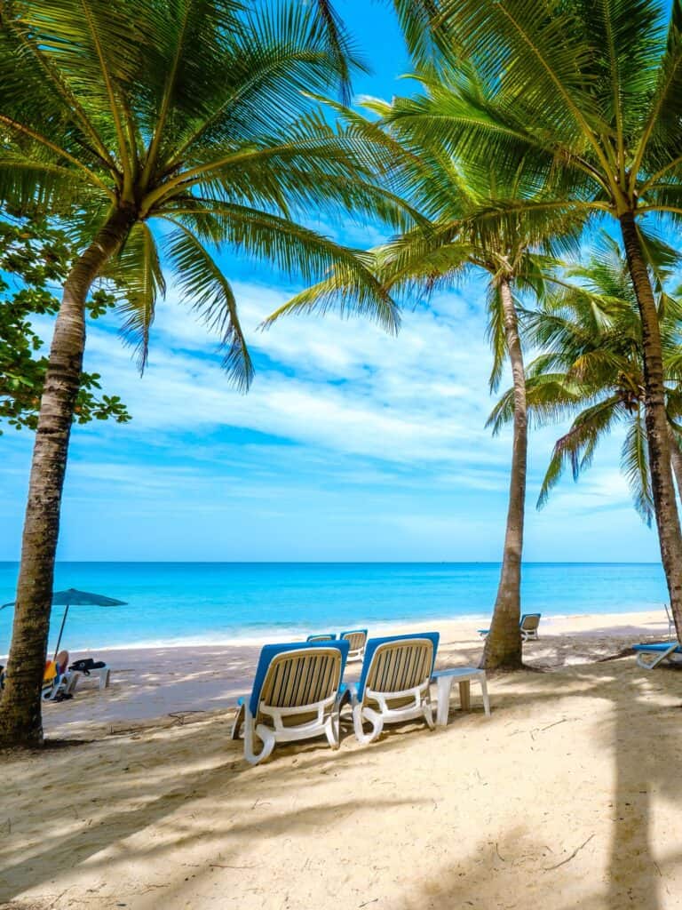 Palm Trees in Surin Beach, Phuket, one of the best beautiful Phuket Beaches. It is the best beach phuket for beachside dining.