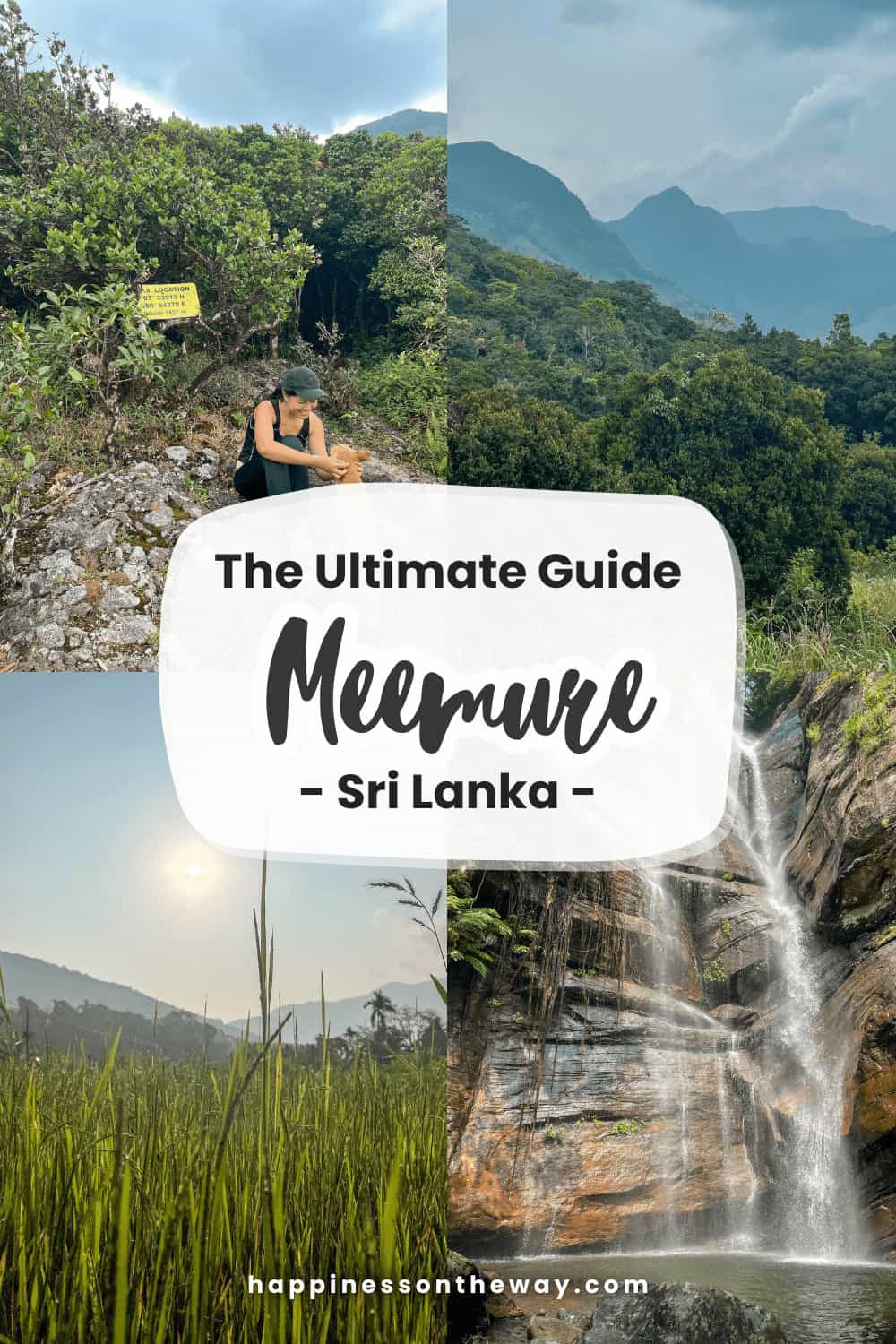 The Ultimate Guide Meemure