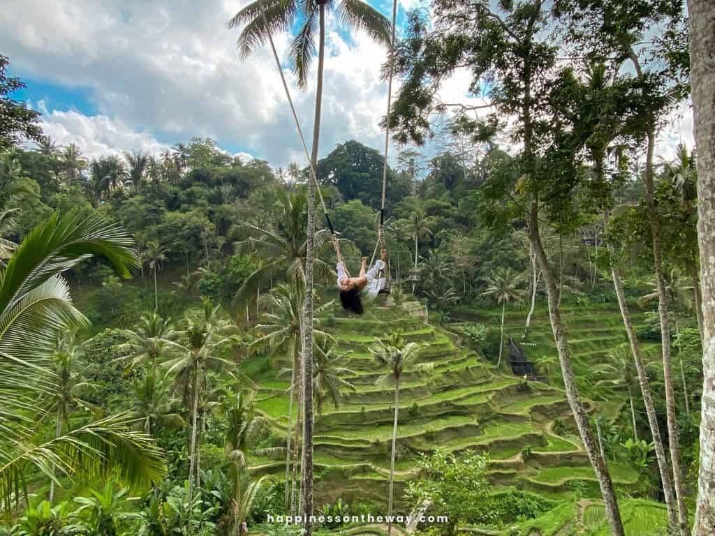 Bali Swing Tegalalang Rice Terrace