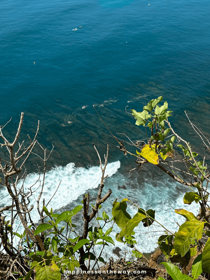 Karang Boma Cliff Uluwatu Bali