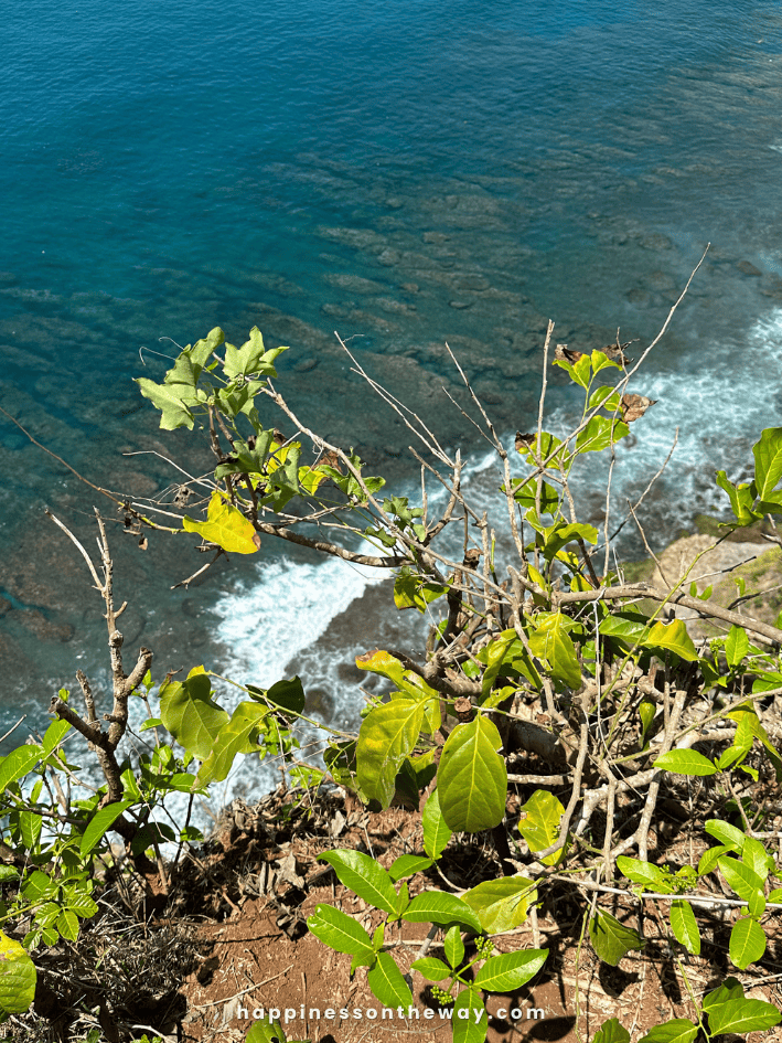 Karang Boma Cliff Uluwatu View