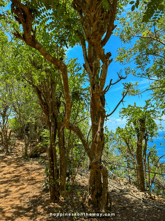 Karang Boma Cliff hike
