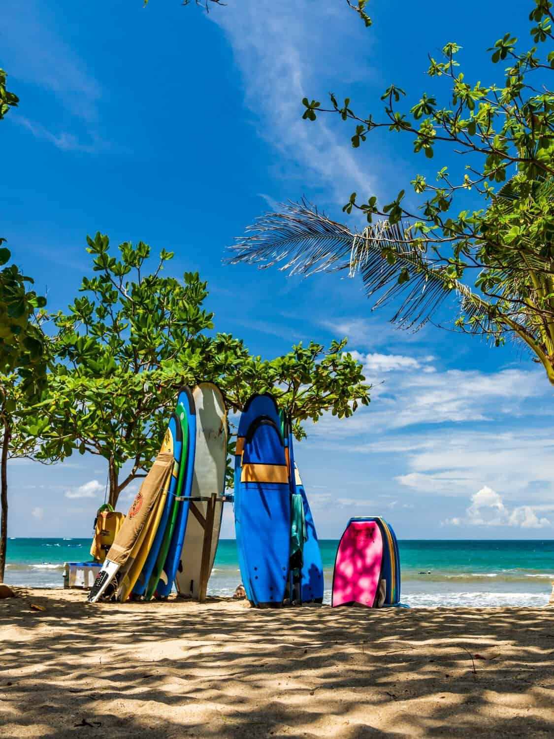 Surf boards pinned on the sand of Kuta Beach, one of the day trips from Ubud