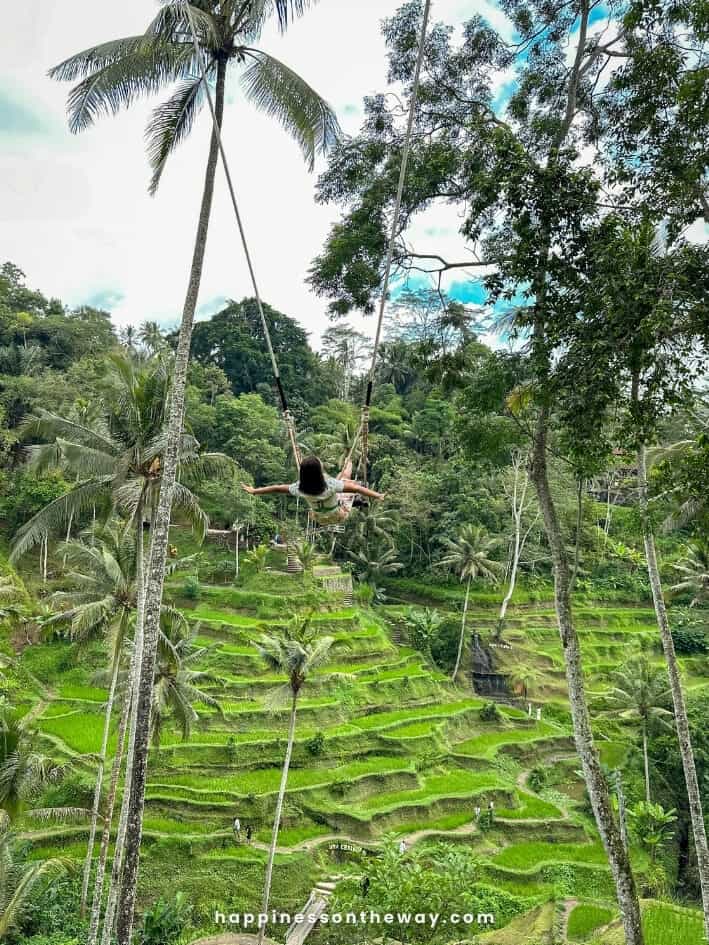 Tegalalang Rice Terrace Bali Swing UMA Ceking