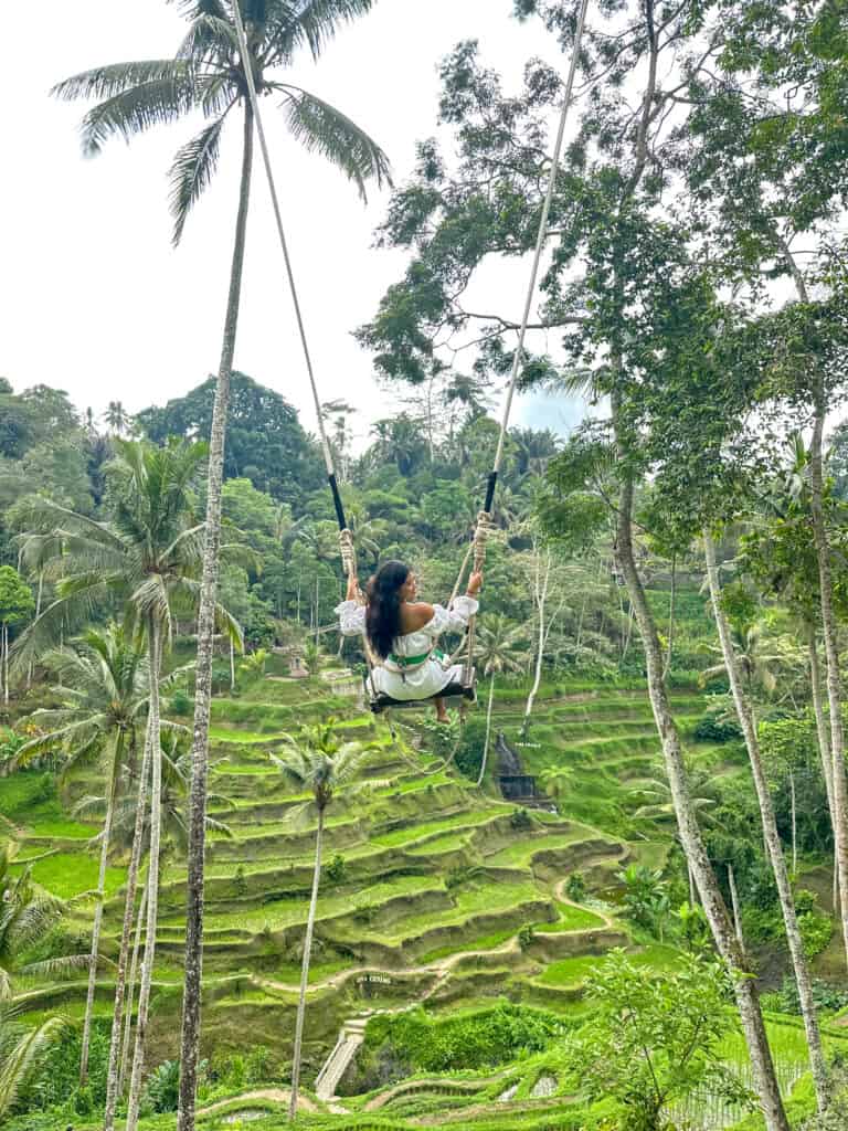 Tegalalang Rice Terrace: The Ultimate Guide For Visiting