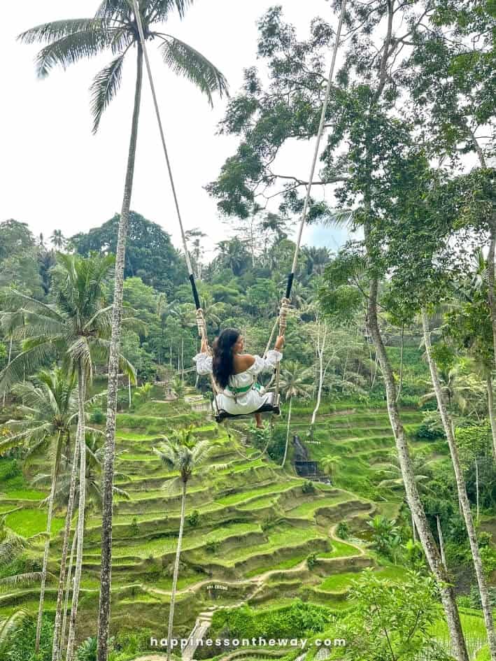 Tegalalang Rice Terrace: The Ultimate Guide in 2024