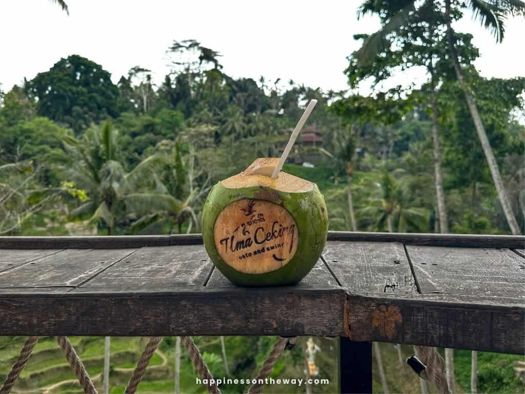 Tegalalang Rice Terrace uma ceking resto coconut