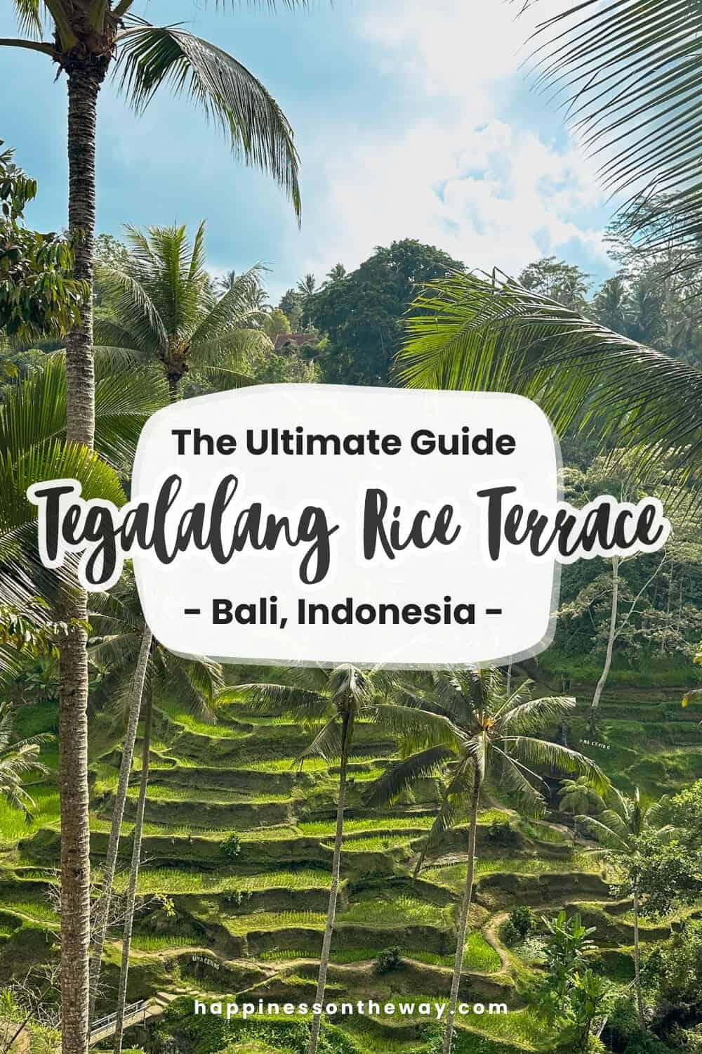 The Ultimate Guide Tegalalang Rice Terrace Bali Indonesia