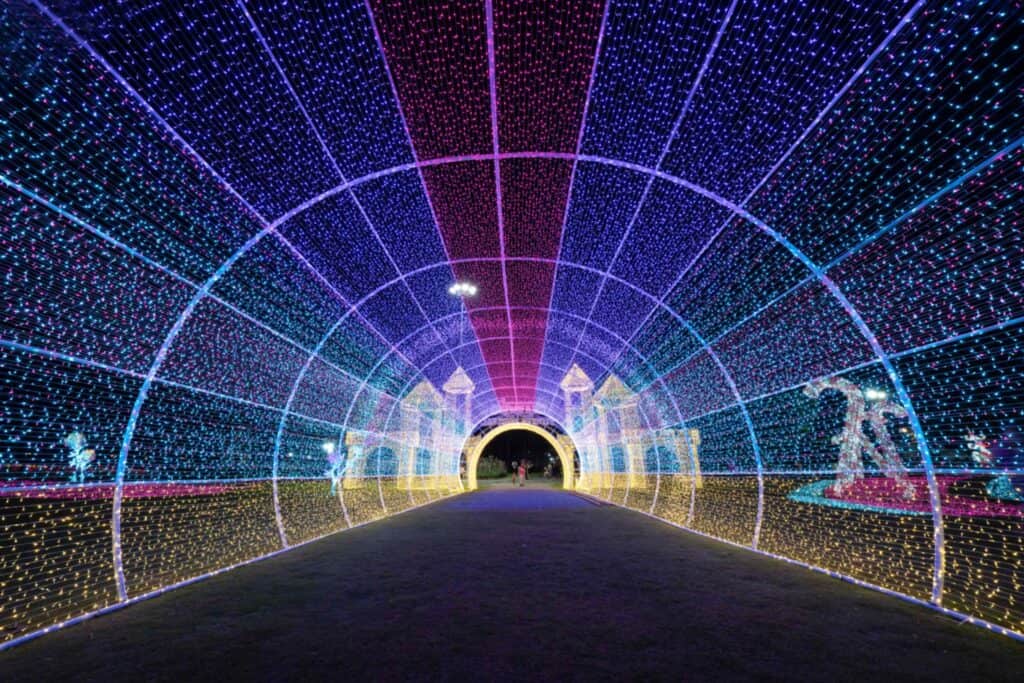 Charming Chiang Mai Flower Festival Thailand featuring Castle, Light tunnel, music sound and light show