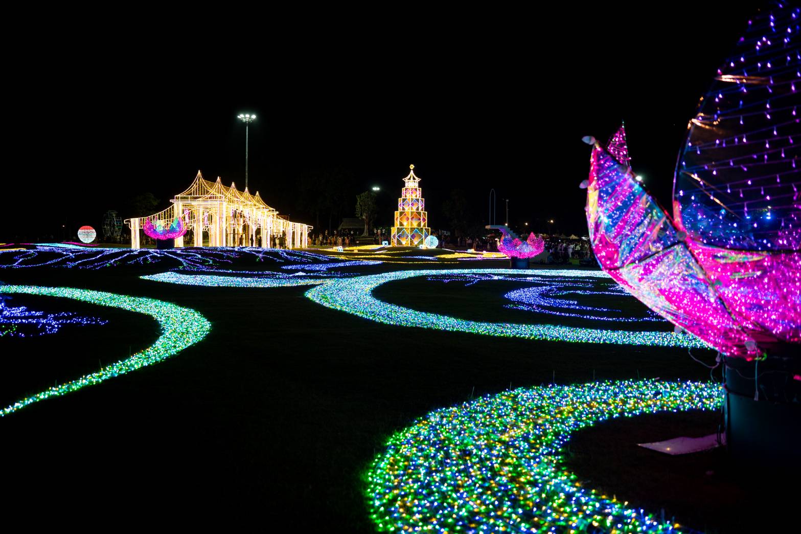 A dazzling nighttime light display at a park, featuring winding paths illuminated with colorful LED lights in shades of blue, green, and pink.