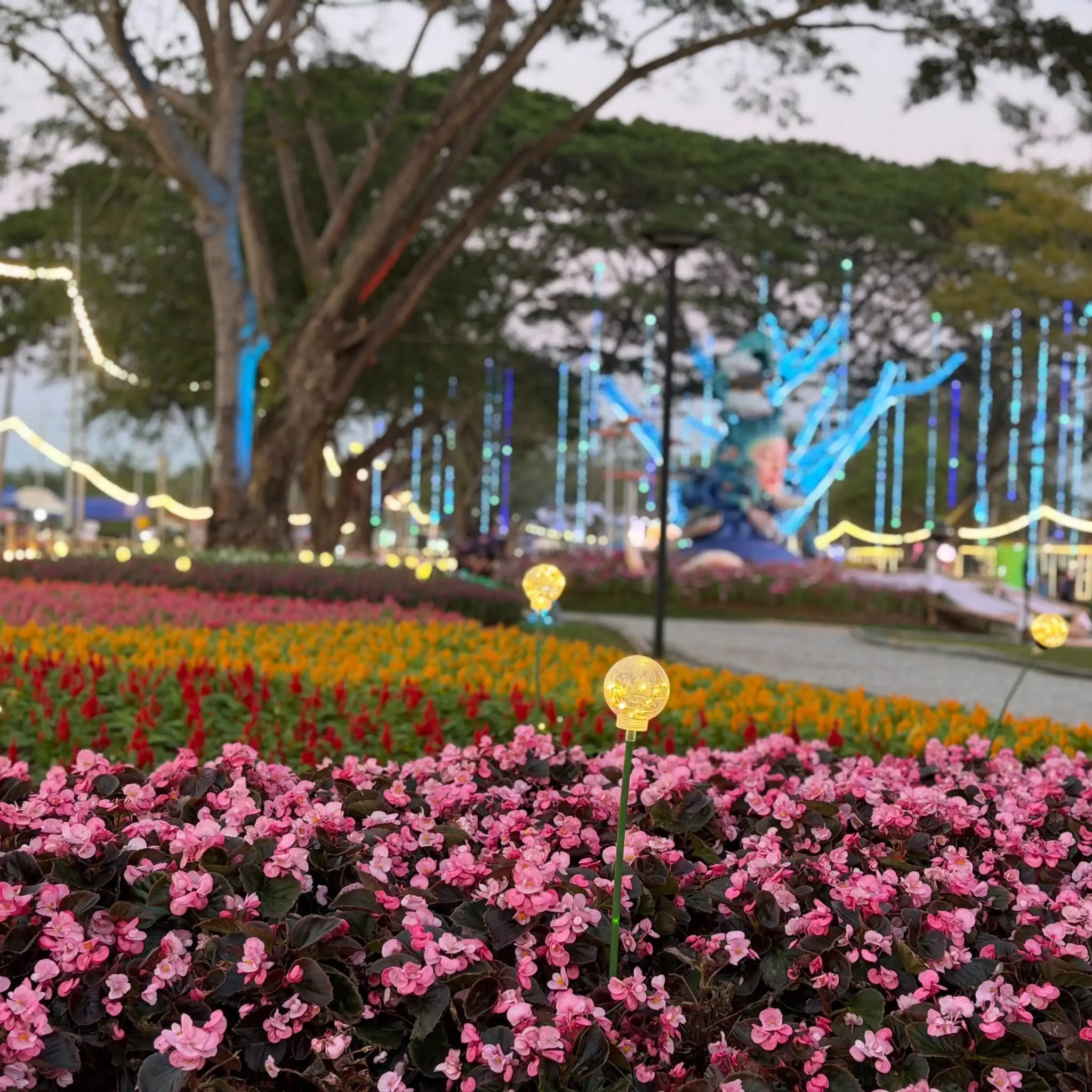 Colorful flower beds illuminated at night during the Chiang Rai Flower Festival, with decorative lights and artistic installations in the background.