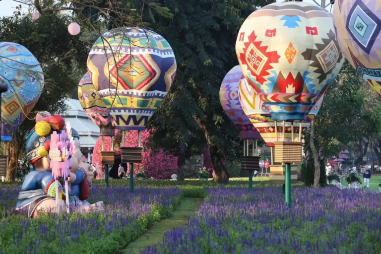 2 Chiang Rai Flower Festivals You Can’t Miss This Winter