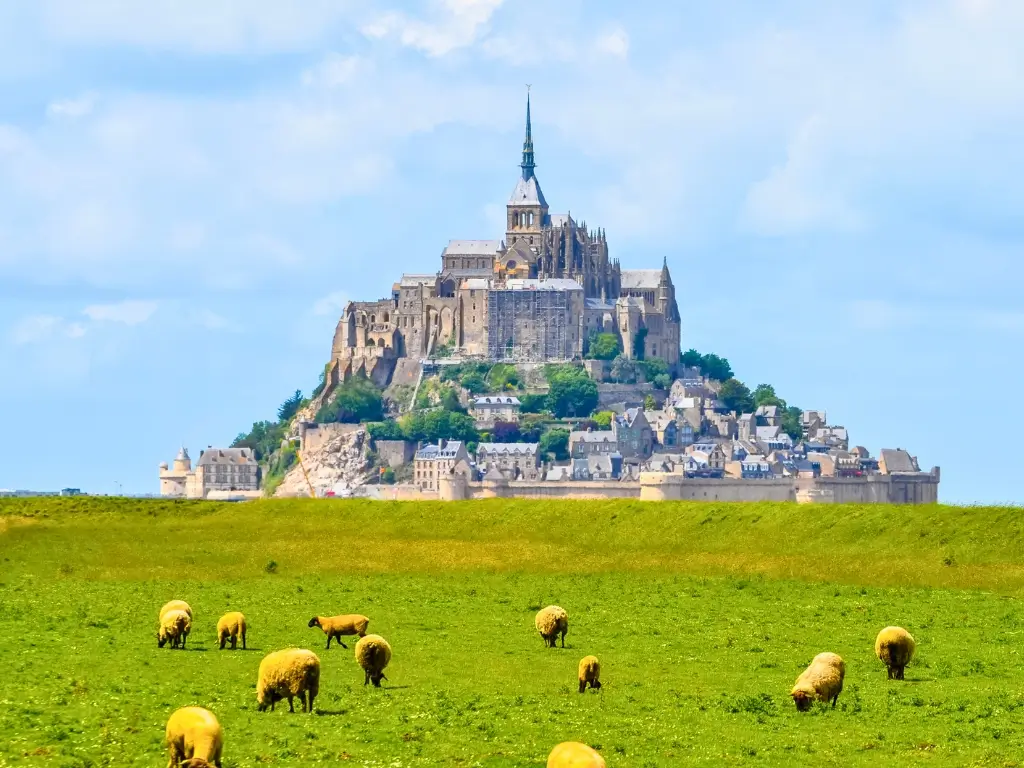 Mont Saint-Michel, a historic abbey atop a rocky island, towers over a green field where sheep graze under a blue sky. This iconic sight is a top destination for a scenic day trip from Paris by train.