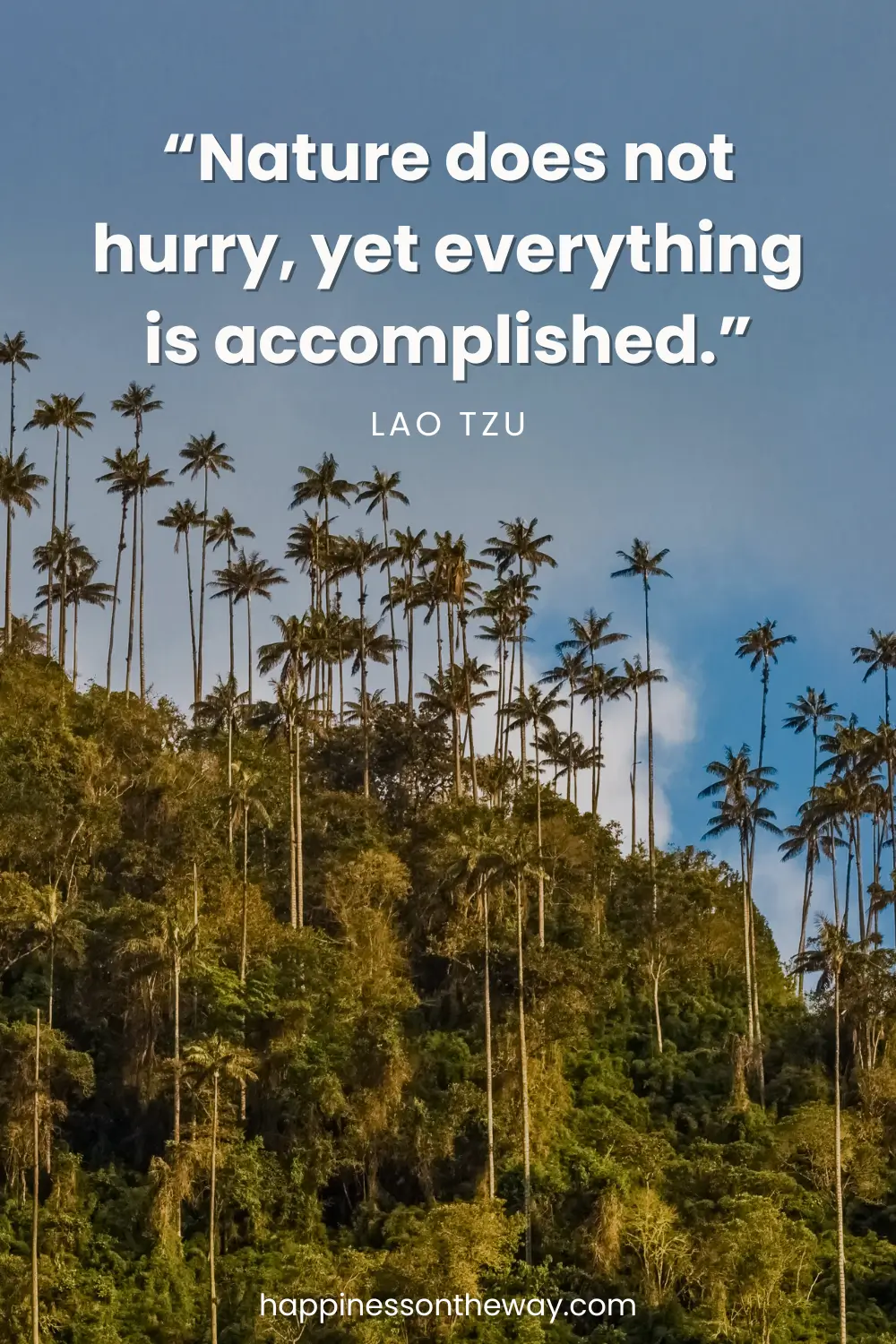 A view of coconut trees on a Valley in Salento, Colombia with a slow travel quote: “Nature does not hurry, yet everything is accomplished.” – Lao Tzu