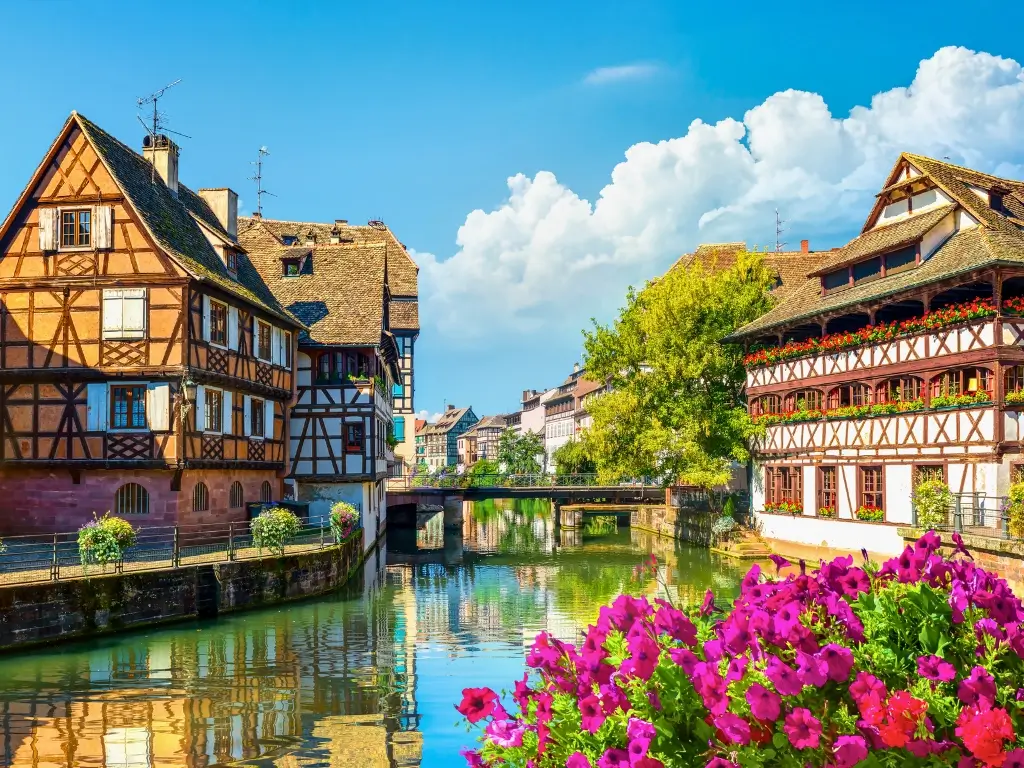 Half-timbered houses of Petite France reflecting on the calm waters of a canal in Strasbourg, France, with vibrant pink flowers in the foreground. This picturesque scene is one of the many charming views to enjoy on the best trips from Paris by train.