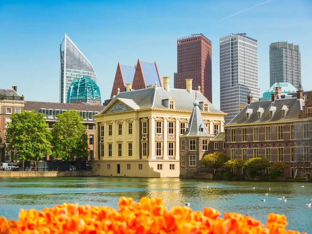 Contrast of the classic 18th-century Mauritshuis museum building and the modern skyscrapers of The Hague, Netherlands, with a foreground of vibrant orange tulips and serene water, a unique cultural blend found on the best day trips from Paris by train to other countries.