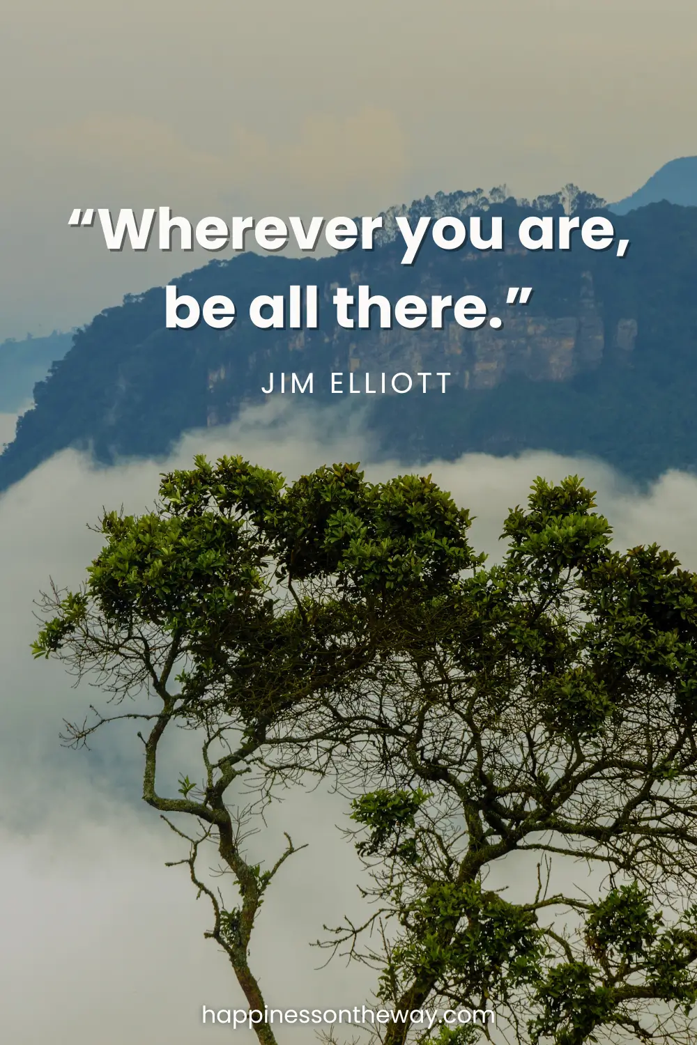 A view of a tree and a fog with a mountain in Chicaque Natural Park with a quote: Wherever you are, be all there. – Jim Elliott