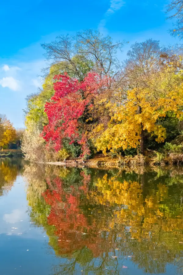 Autumn tranquility is reflected in the still waters of Bois de Vincennes, one of the best parks in Paris for picnic. With trees displaying a vivid spectrum from green to fiery red leaves, mirroring their beauty in the calm lake.