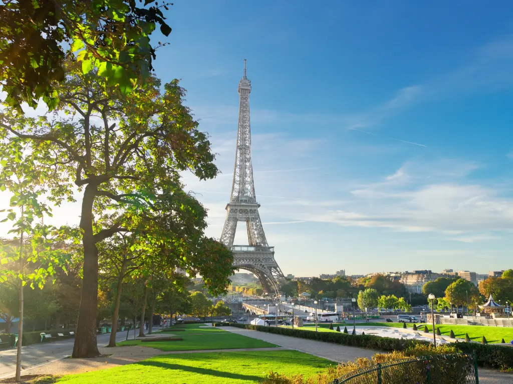 Sunlight filters through the leaves of a tree with the Eiffel Tower in the backdrop, capturing a serene morning in a park in Trocadero with clear blue skies and a hint of cloud streaks.
