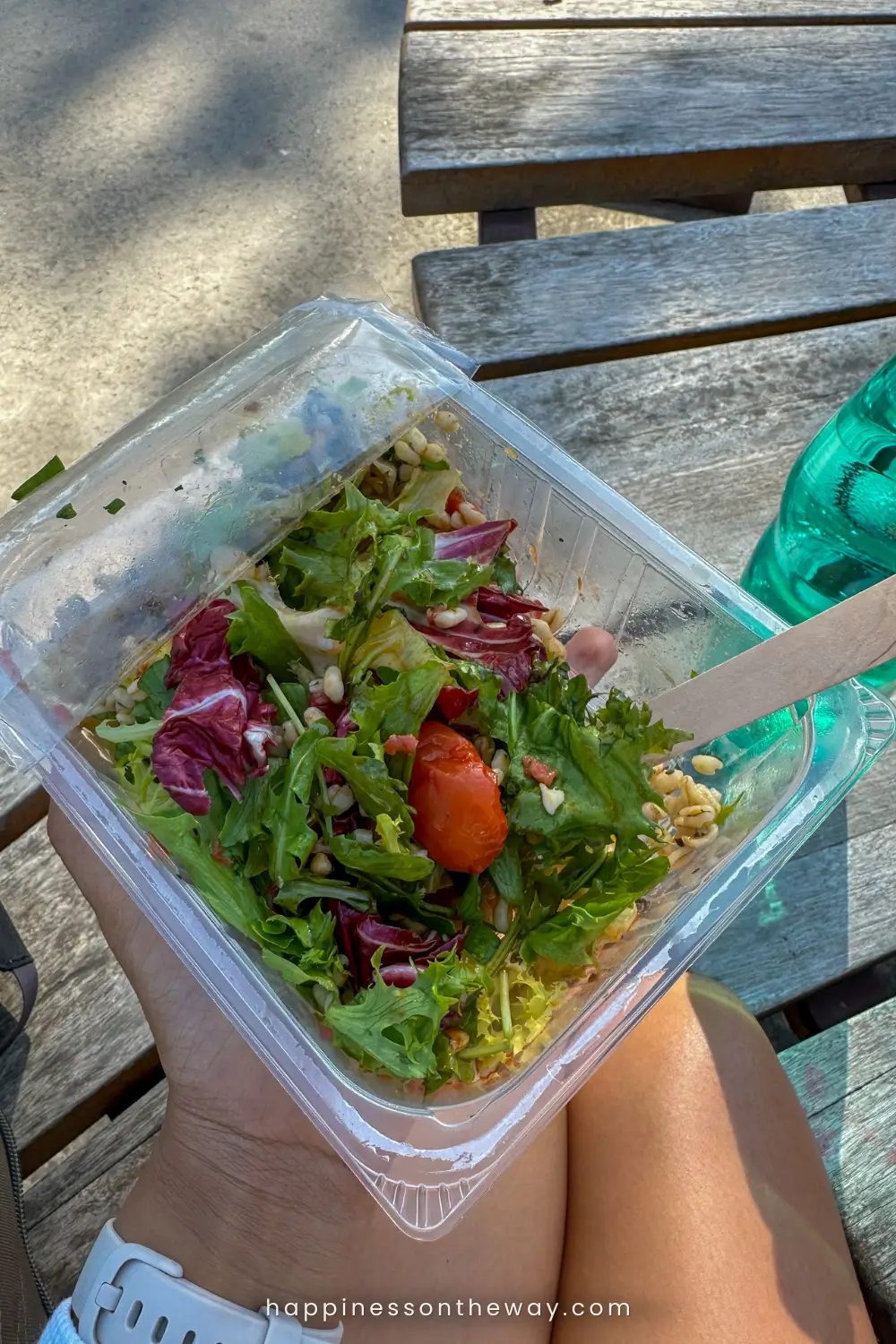 A personal perspective of a fresh salad in a take-out container, held over knees with a wooden fork, ready to eat. A green water bottle and wooden bench in the background suggest a casual outdoor meal in a park in Paris.