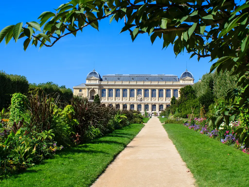 The grand architecture of the Jardin des Plantes' gallery stands beyond a lush, flower-lined path, partially shaded by leafy branches against a clear blue sky, inviting nature and history enthusiasts alike. It's also one of the best picnic spots in Paris.