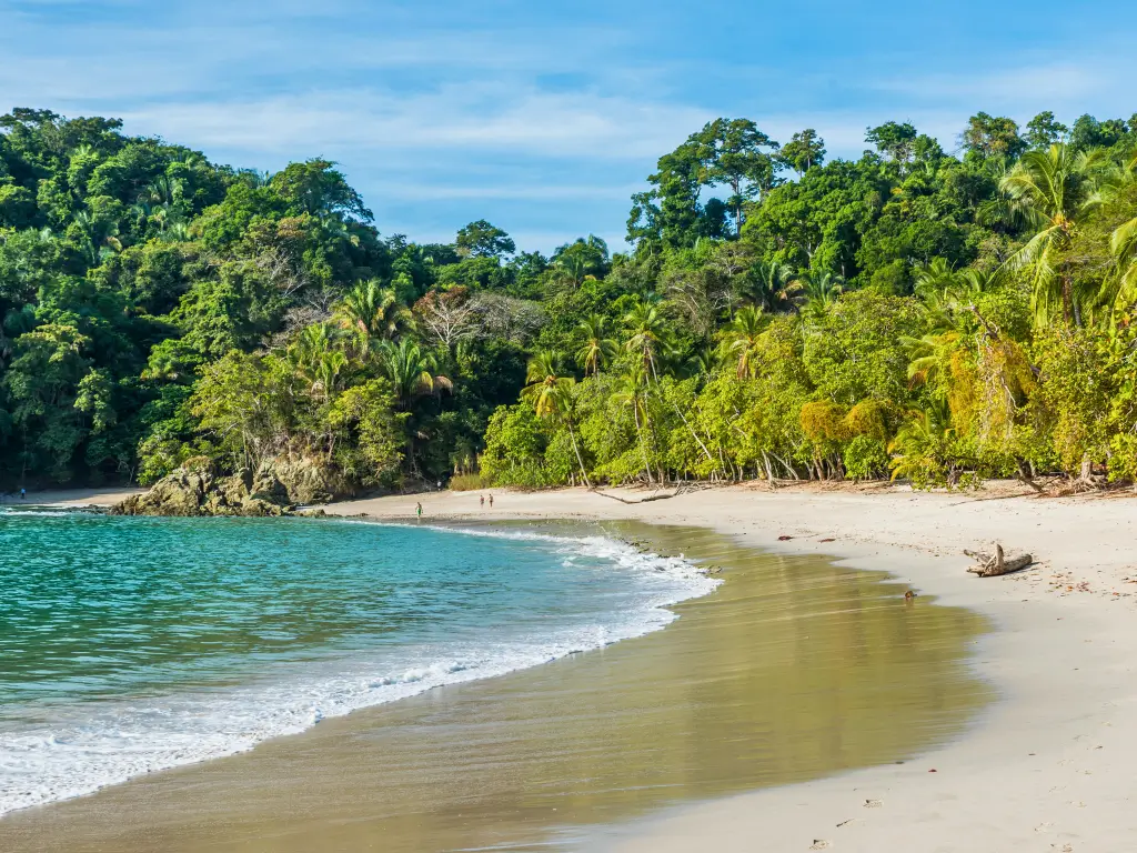 Secluded sandy beach edged by lush tropical forest in Costa Rica, embodying the pura vida lifestyle of slow travel destinations.