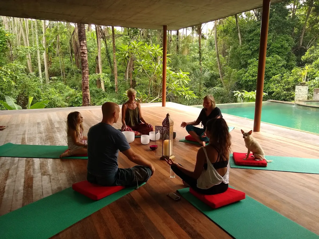 A group meditation session in an open yoga pavilion set against a backdrop of Bali's dense forests