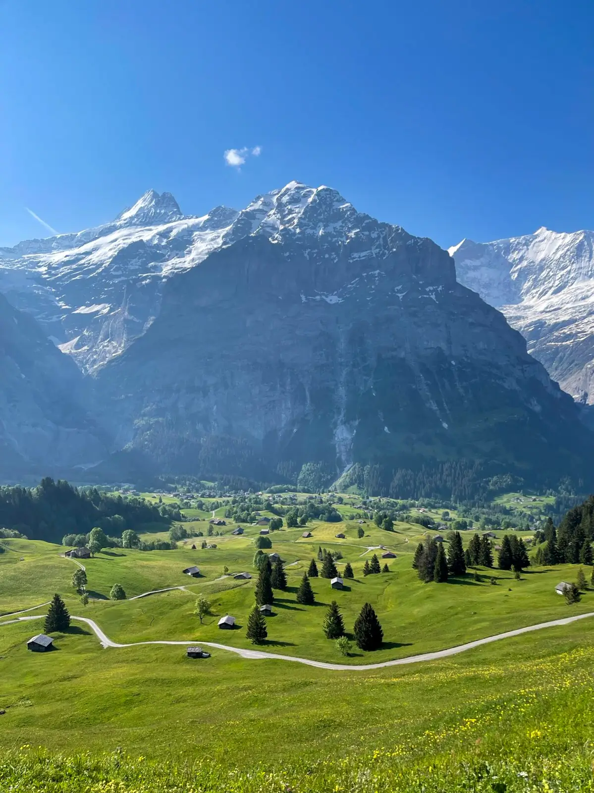 Stunning view of Grindelwald village with the majestic Swiss Alps in the background under a clear blue sky. An answer to "Is Grindelwald Worth Visiting?"