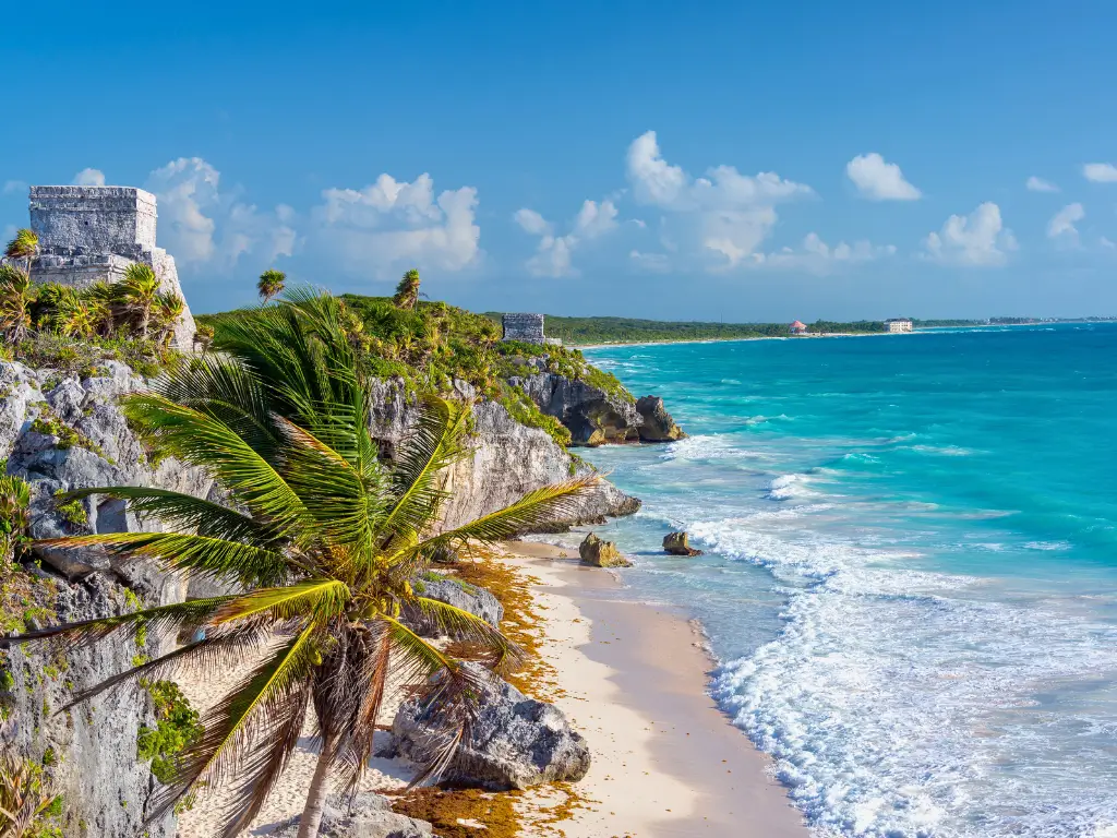 Mayan ruins atop a cliff with a palm tree foreground overlooking the turquoise waters of Tulum, Mexico, an idyllic slow travel destination.