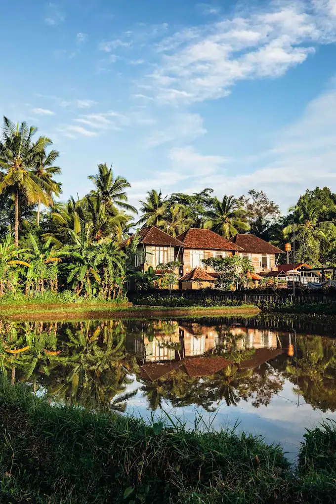 She Knows Alt Text said: A traditional wooden house with a red-tiled roof is nestled among tall palm trees and lush greenery, reflected perfectly in a calm rice paddy or pond.