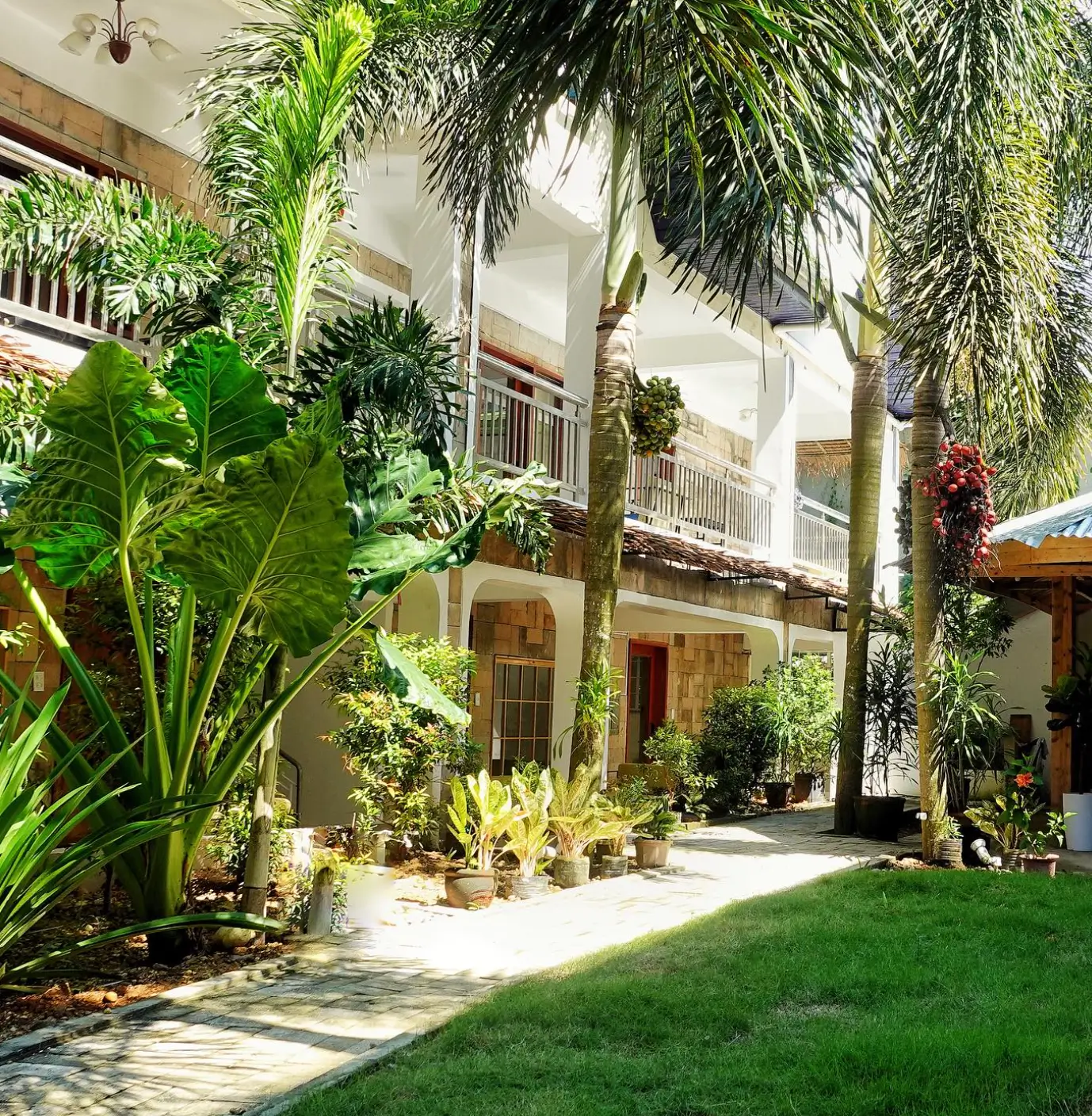 Lush garden pathway at Senare Boracay Hotel, showcasing a variety of tropical plants and palm trees flanking a paved walkway leading to charming stone-clad buildings with white balconies