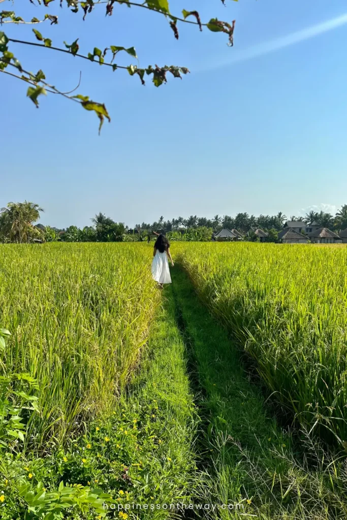 35 Hidden Gems in Ubud: The Ultimate Non-Touristy Guide
