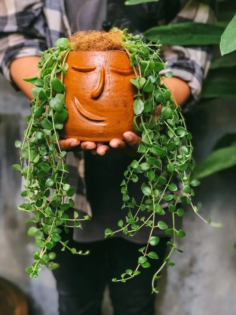 A pot with a smiling face filled with a trailing plant