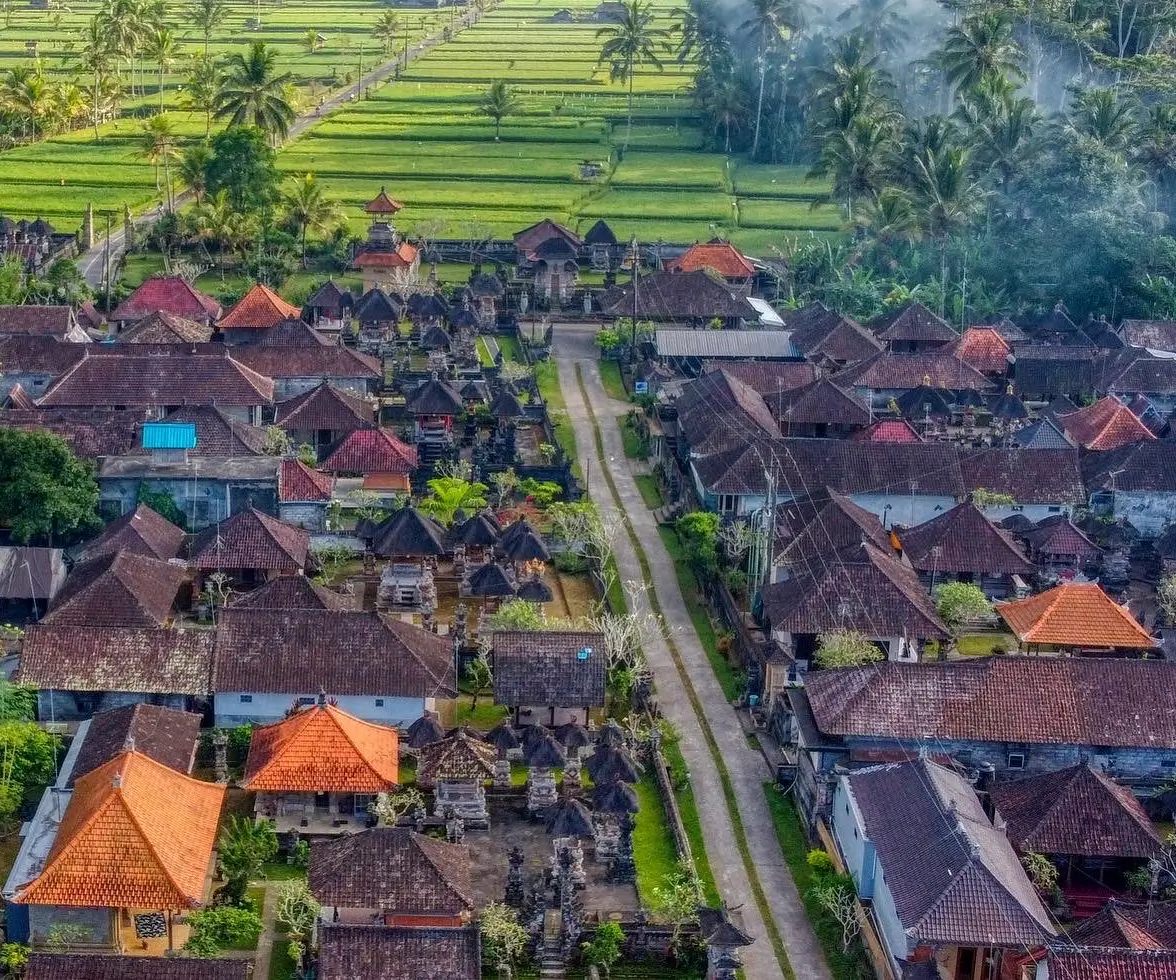 Orange and maroo rooftops of Balinese houses in a rice field, known as Taro Village