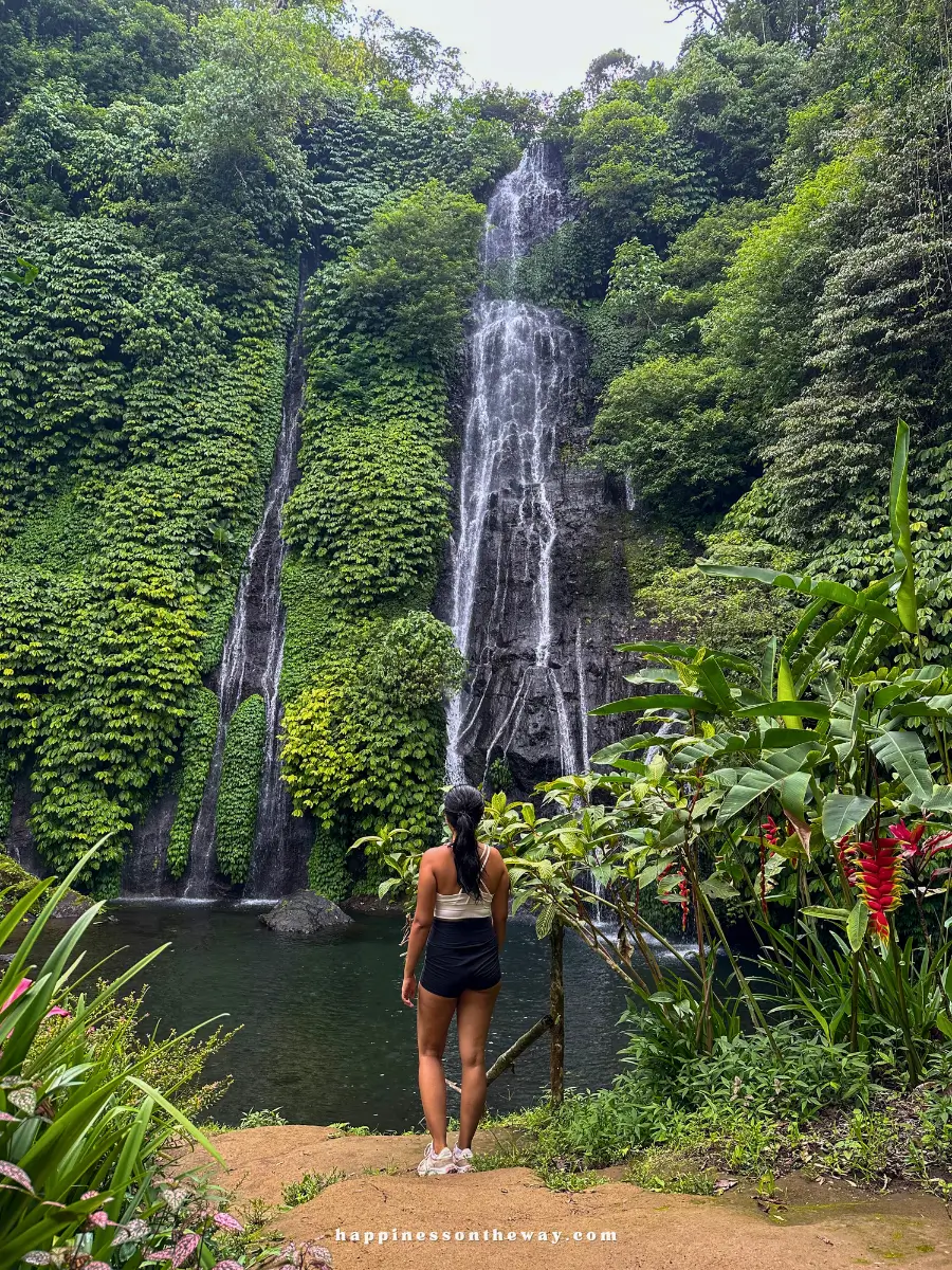 Me standing and looking at the Banyumala Twin Waterfalls.