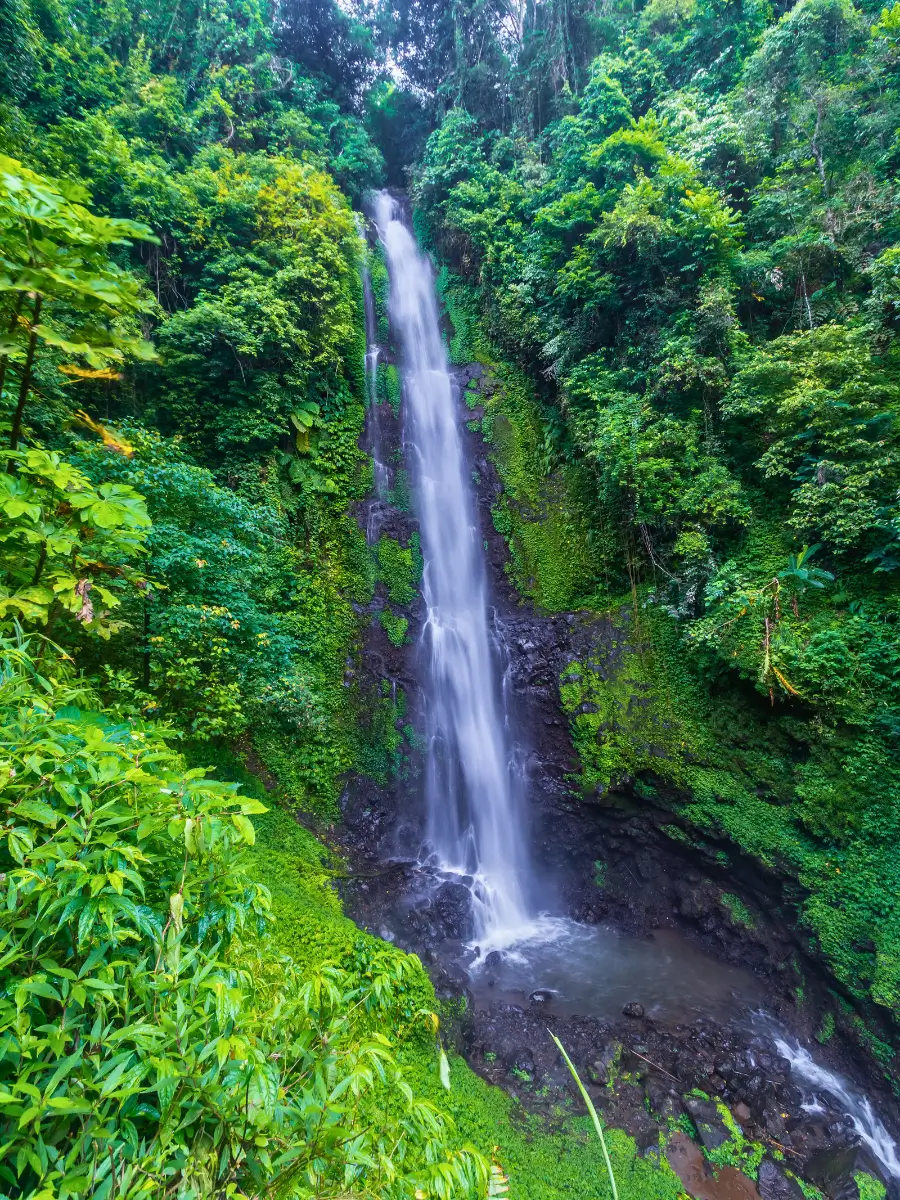 Tall Blahmantung waterfall flowing in a lush green forest