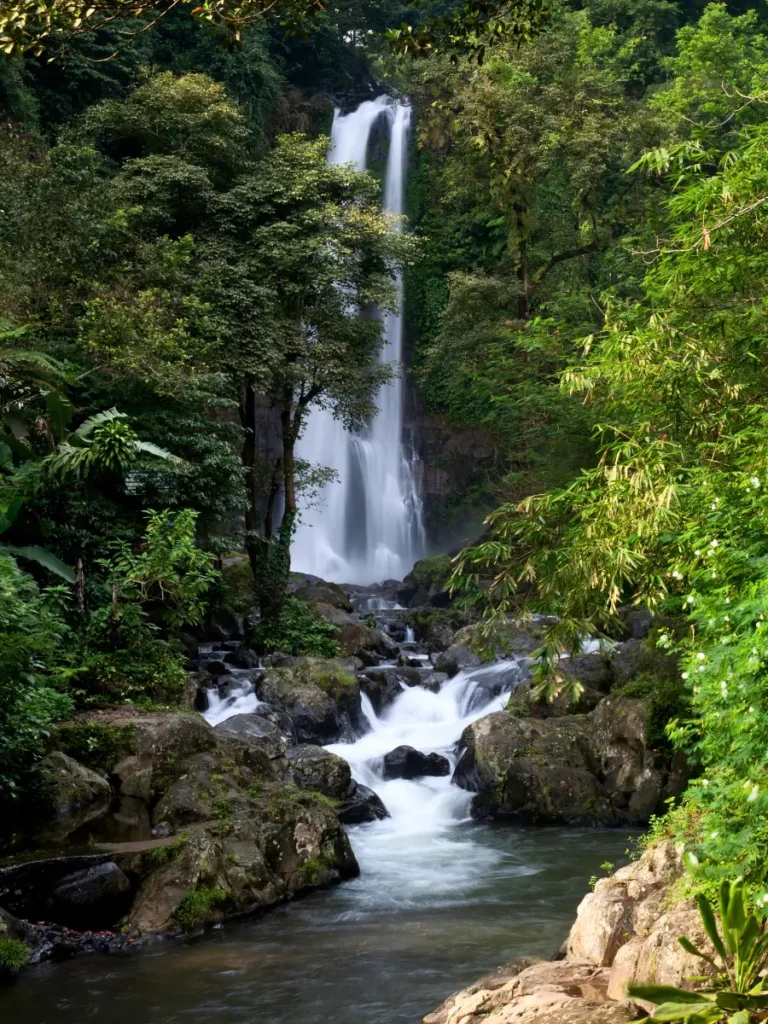The 23 Beautiful Waterfalls near Ubud