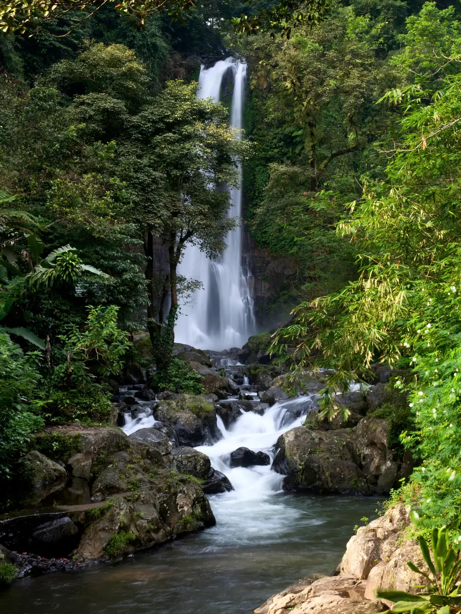 Gitgit Waterfall flowing into the river in a tropical forest.