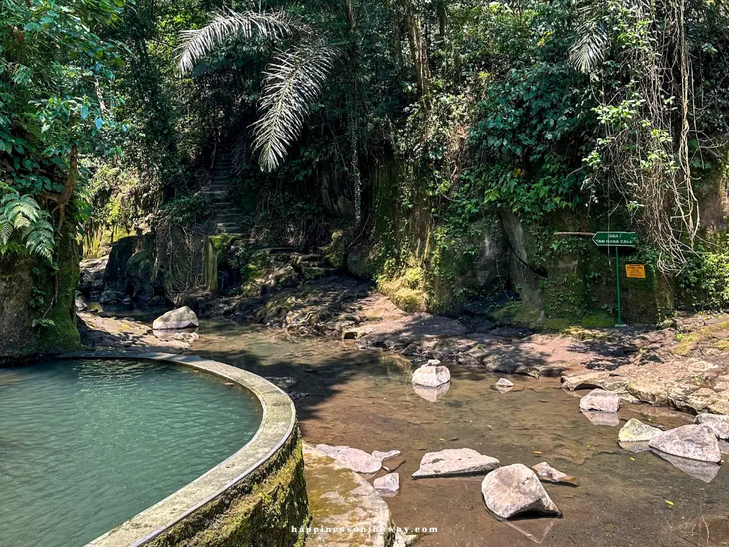 A pool in a the forest