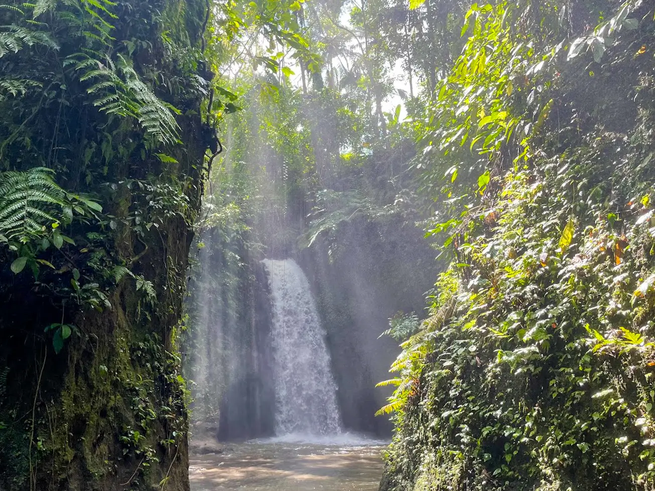 A peek of Manuaba Waterfall from two big forest walls filled with tropical plants.