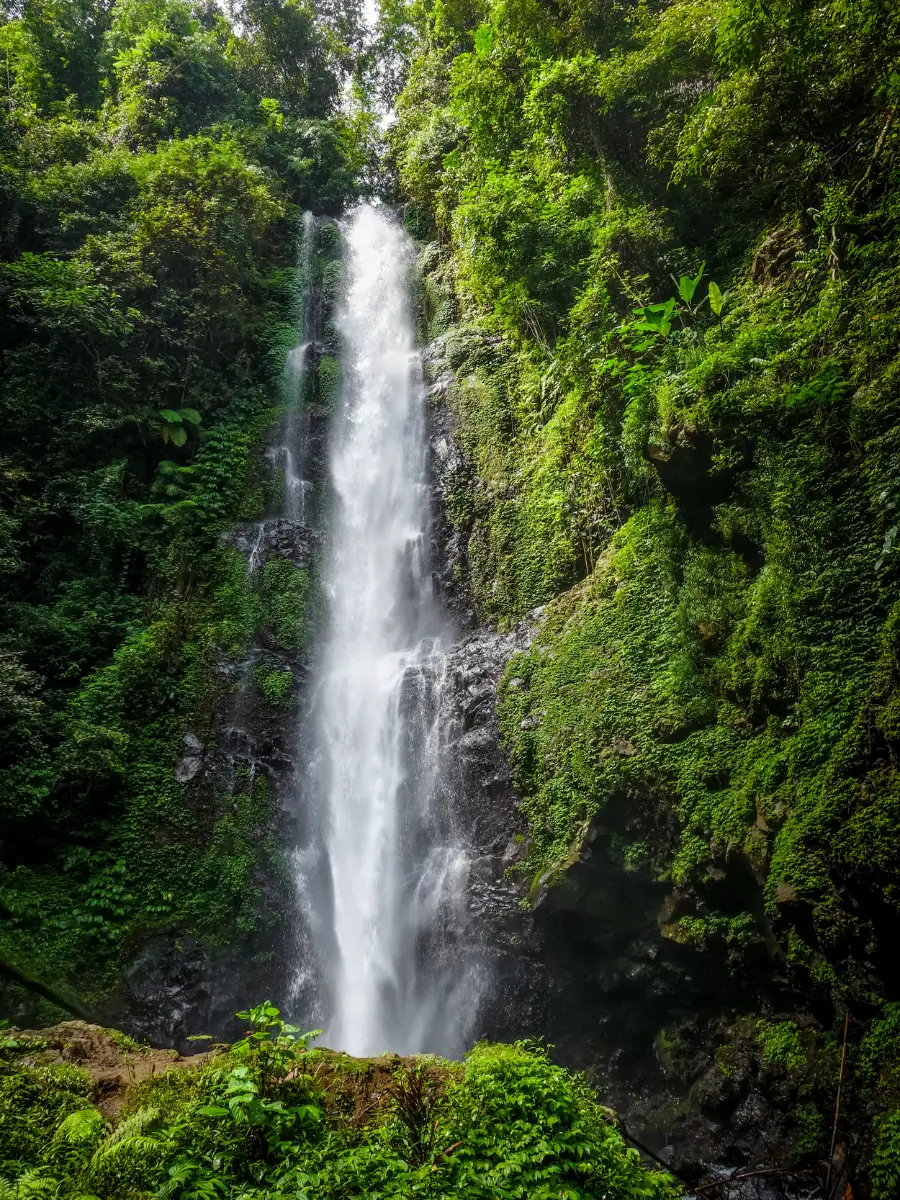 Melanting Waterfall flowing heavily surrounded by forest.